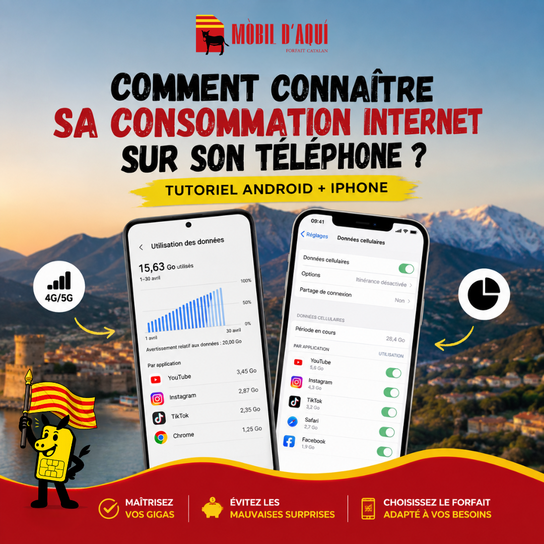 Comment connaître sa consommation Internet sur son téléphone ?