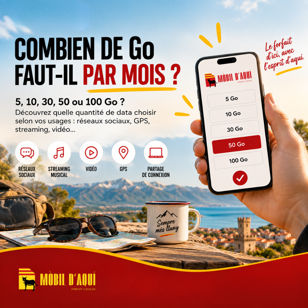 Combien de Go faut-il par mois pour son forfait mobile ?